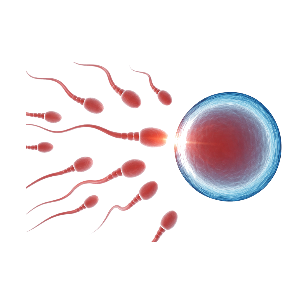Infertility
